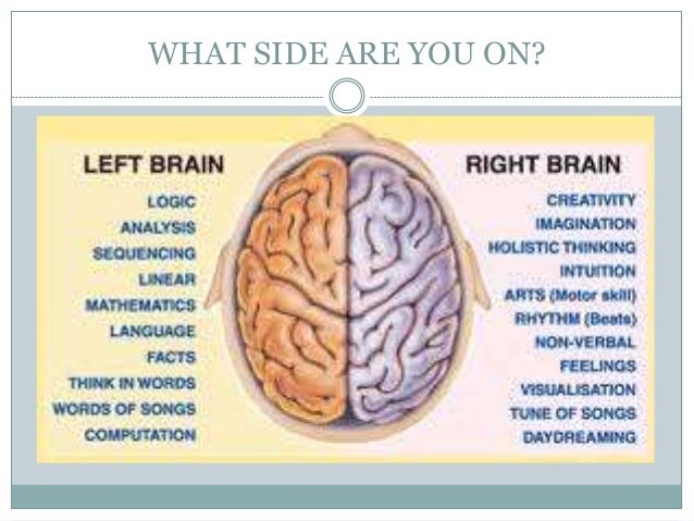 functions of the brain psychology localisation of brain function essay help
